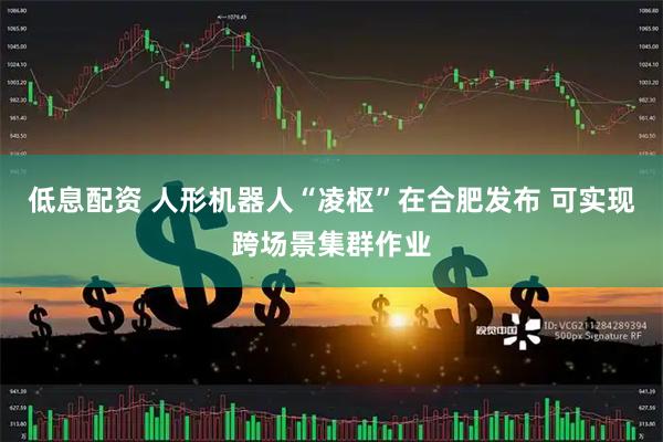 低息配资 人形机器人“凌枢”在合肥发布 可实现跨场景集群作业
