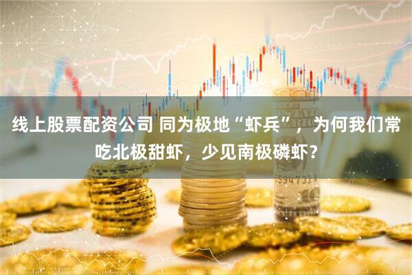 线上股票配资公司 同为极地“虾兵”，为何我们常吃北极甜虾，少见南极磷虾？